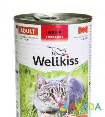 Корм для кошек Wellkiss Petrozavodsk