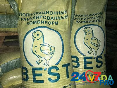 Комбикорм для индюков тяжелых кроссов Lipetsk - photo 2