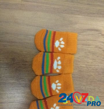 Носочки для собак и кошек Красногорск - изображение 2