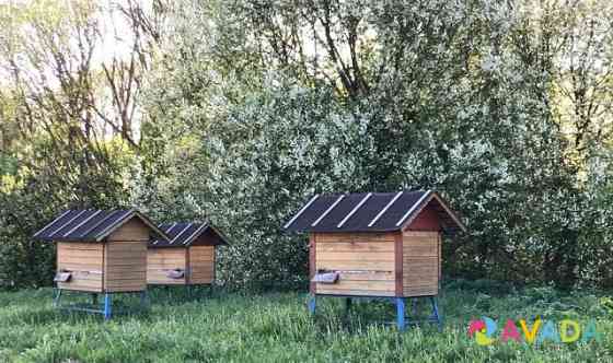 Ульи-лежаки на 25 рамок с пчелосемьёй Smolensk