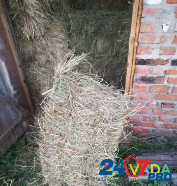 Продаю сено в тюках Platonovka - photo 7