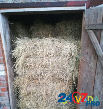 Продаю сено в тюках Platonovka - photo 5