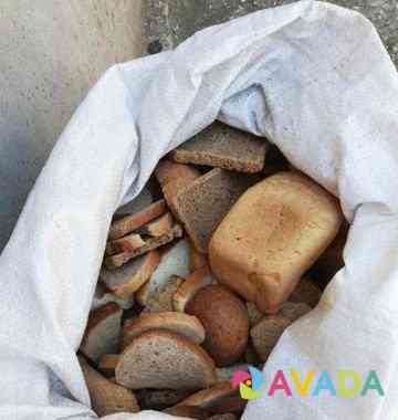 Мелкий картофель и сухой хлеб Sovetskiy