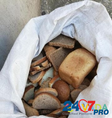 Мелкий картофель и сухой хлеб Sovetskiy - photo 1