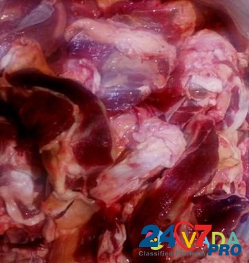 Говяжья кость и обрезь на корм животым Valuyki - photo 1