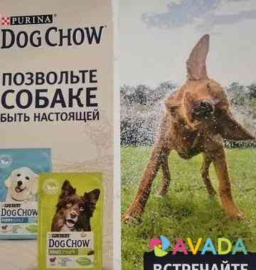 Корм для собак Ivanovo