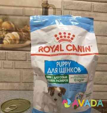 Корм для щенка royal canin Samara