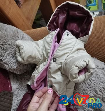 Одежда для собак Bologoye - photo 6