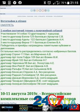 Продаю щенков дратхаара рожденных 21.07.2020 Dobroye - photo 7