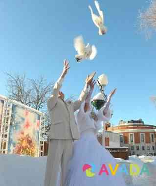 Пара белых почтовых голубей на свадьбу Balabanovo