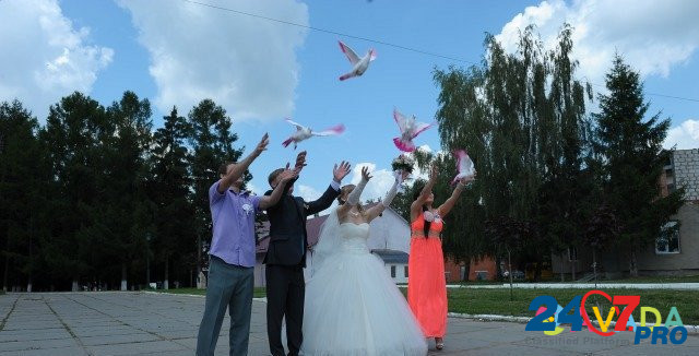 Пара белых почтовых голубей на свадьбу Balabanovo - photo 3