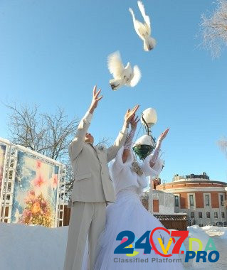 Пара белых почтовых голубей на свадьбу Balabanovo - photo 2