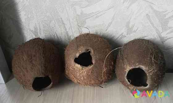Декор-кокос натуральный Novosibirsk