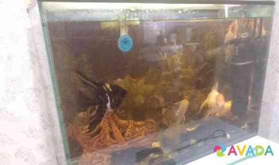 Продам аквариум полный комплект, 60л Magnitogorsk