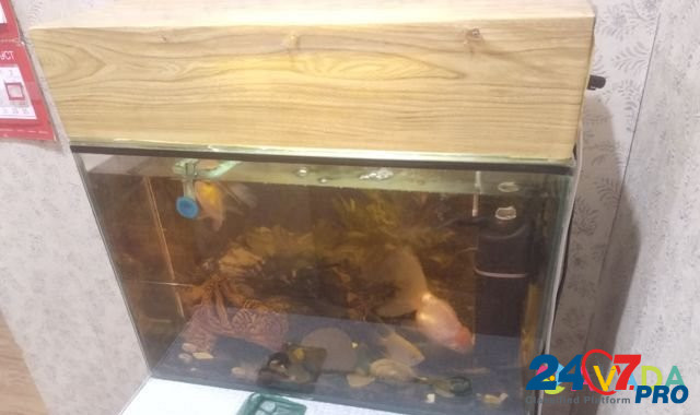 Продам аквариум полный комплект, 60л Магнитогорск - изображение 1