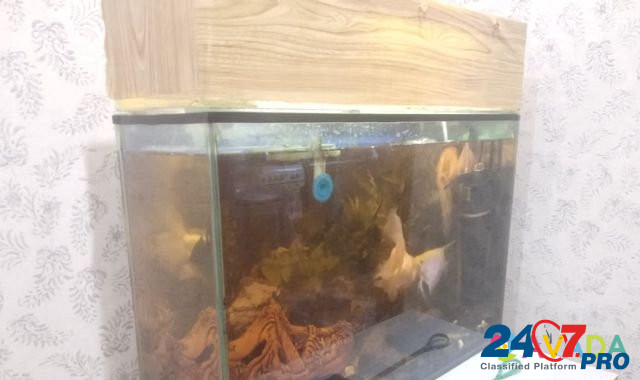 Продам аквариум полный комплект, 60л Магнитогорск - изображение 4