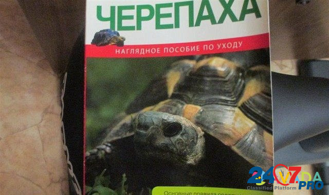 Красноухая черепаха Balakovo - photo 5