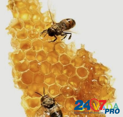 Пчёлопакеты, матки Orel-Izumrud - photo 1