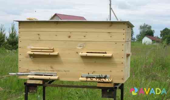 Продам пчелосемьи Ostrov