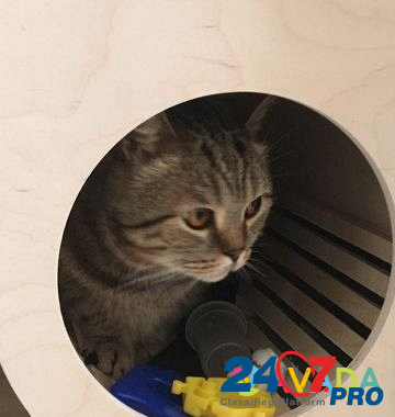 Домик для кошек, котят и маленьких собак Тольятти - изображение 3
