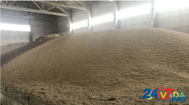 Зерноотход пшеницы, сои Tula - photo 1