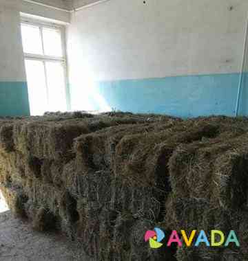 Продам сено в тюках 20 кг урожай 2020 Улан-Удэ