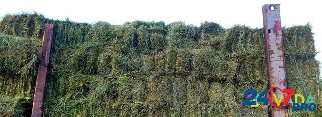Продам сено в тюках 20 кг урожай 2020 Ulan-Ude - photo 2