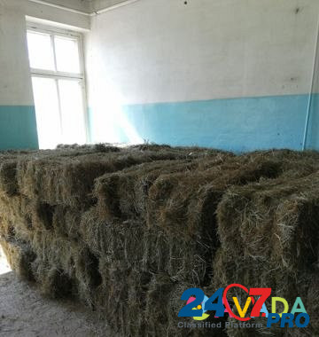 Продам сено в тюках 20 кг урожай 2020 Ulan-Ude - photo 4