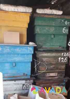 Продам улья и ловушки для пчёл Bol'shaya Sosnova