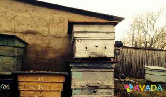 Продам улья и ловушки для пчёл Большая Соснова
