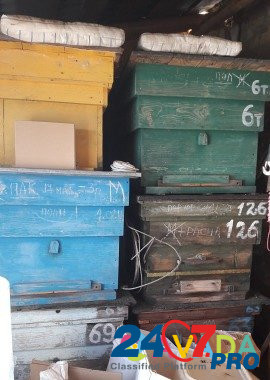 Продам улья и ловушки для пчёл Bol'shaya Sosnova - photo 4