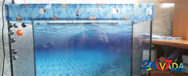 Вместо клетки аквариум Omsk - photo 1