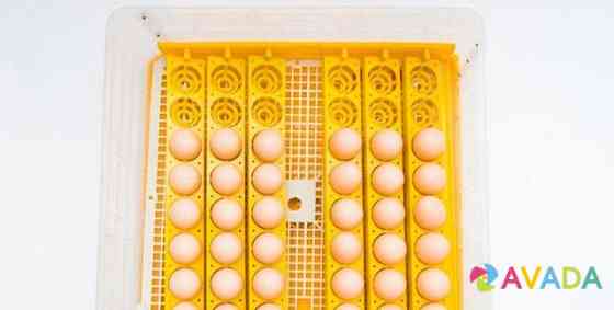 Инкубатор на 48 яиц автоматический Novosibirsk