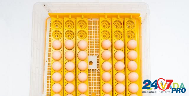 Инкубатор на 48 яиц автоматический Новосибирск - изображение 3