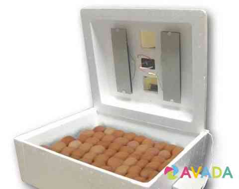Инкубатор Несушка би-1 на 63 яйца цифровой Тюмень