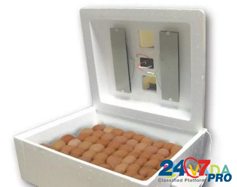 Инкубатор Несушка би-1 на 63 яйца цифровой Тюмень - изображение 2