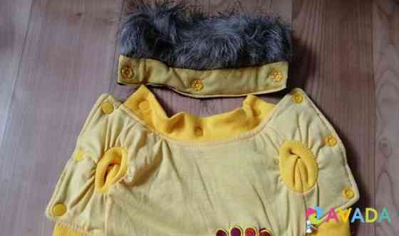 Новая куртка для собаки Novosibirsk