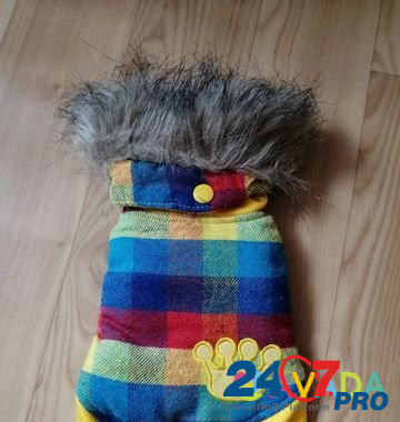 Новая куртка для собаки Новосибирск - изображение 1