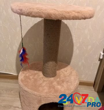 Когтеточка домик для кошки Пермь - изображение 2