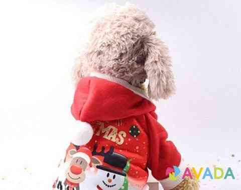 Рождественский костюм для маленьких собак, XS Murmansk