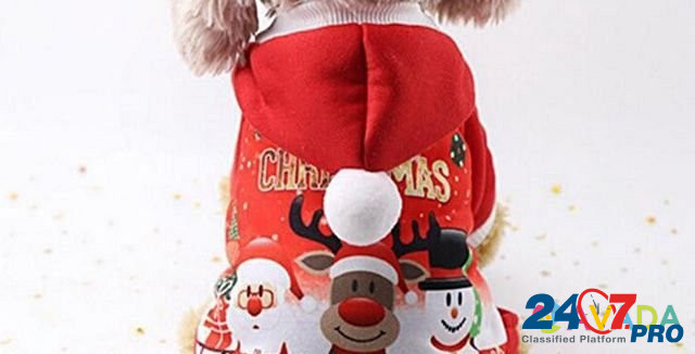 Рождественский костюм для маленьких собак, XS Murmansk - photo 1