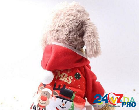 Рождественский костюм для маленьких собак, XS Мурманск - изображение 6