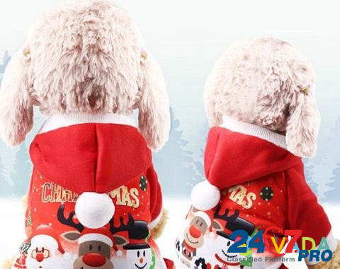 Рождественский костюм для маленьких собак, XS Мурманск - изображение 7