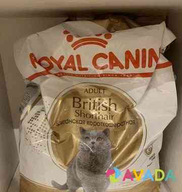 Корм для котов «Royal Canin British” Moscow
