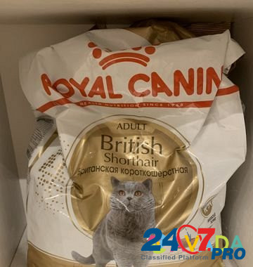 Корм для котов «Royal Canin British” Москва - изображение 1