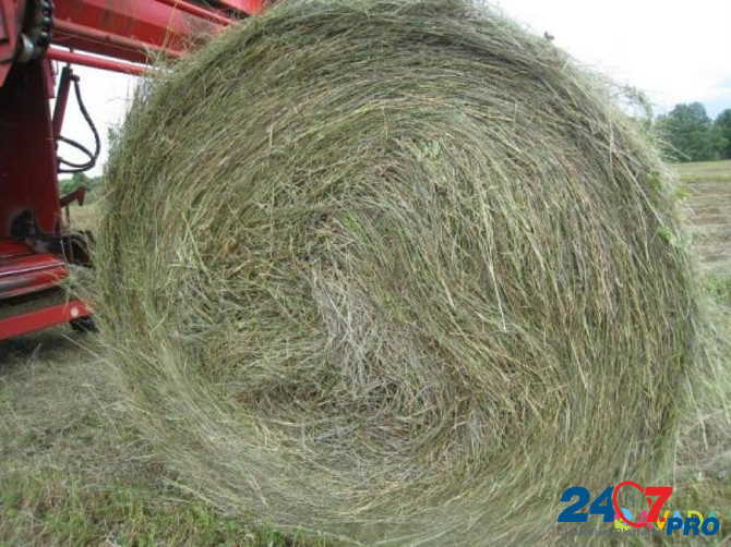 Хорошее сено в рулонах луговое пойменное Чебоксары - изображение 1