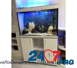 ZelAqua магазин аквариумов и террариумов в Москве Москва - изображение 8