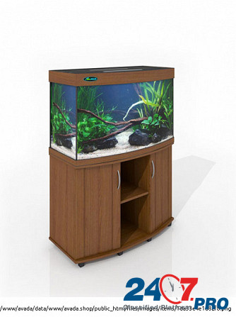 ZelAqua магазин аквариумов и террариумов в Москве Москва - изображение 3