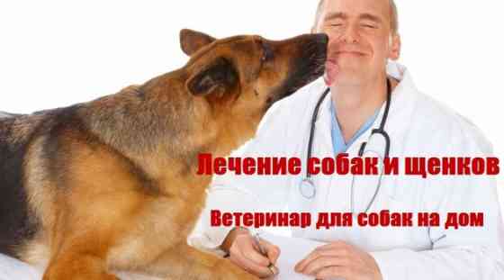 VetKlinik-Msk - ветклиника город - неотложная помощь домашним животным Moscow