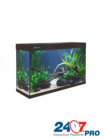 Заказать аквариум для рыбок Moscow - photo 4